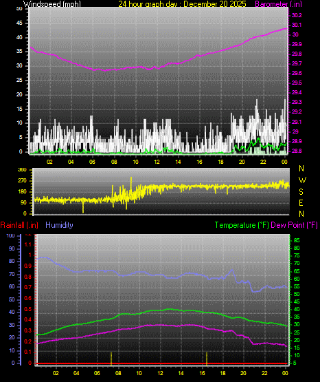 24 Hour Graph for Day 20