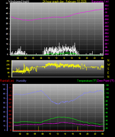 24 Hour Graph for Day 10
