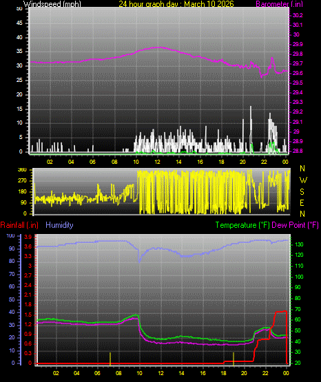 24 Hour Graph for Day 10